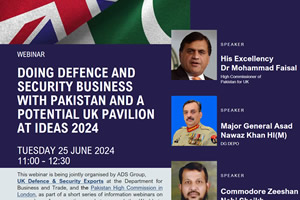 Webinar on IDEAS 2024