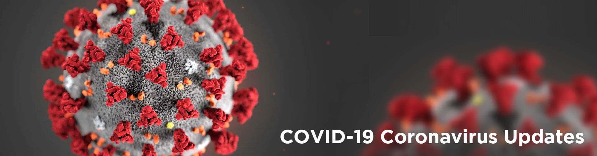 Updates on COVID-19 Related Matters